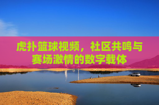 虎扑篮球视频,社区共鸣与赛场激情的数字载体