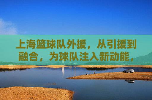 上海篮球队外援,从引援到融合,为球队注入新动能,上海篮球队外援,从引援到融合,为球队注入新动能