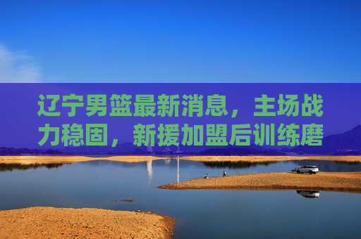 辽宁男篮最新消息,主场战力稳固,新援加盟后训练磨合深入,新赛季备战全面提速,辽宁男篮新援磨合深入,备战提速,主场战力稳固