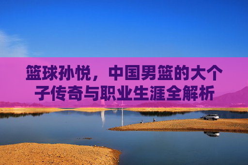 篮球孙悦，中国男篮的大个子传奇与职业生涯全解析