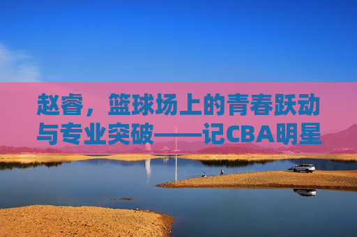 赵睿，篮球场上的青春跃动与专业突破——记CBA明星球员的成长轨迹，赵睿，篮球场上的青春跃动与专业突破——记CBA明星球员的成长轨迹