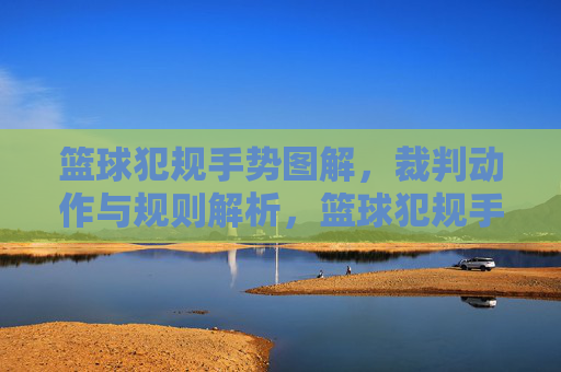 篮球犯规手势图解,裁判动作与规则解析,篮球犯规手势图解,裁判动作与规则解析