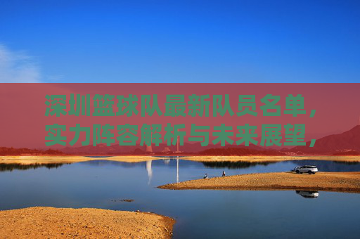 深圳篮球队最新队员名单，实力阵容解析与未来展望，深圳篮球队最新队员名单，实力阵容解析与未来展望