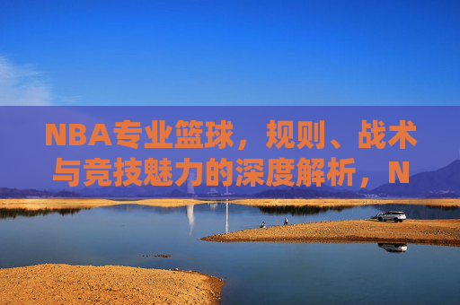 NBA专业篮球，规则、战术与竞技魅力的深度解析，NBA专业篮球，规则、战术与竞技魅力的深度解析