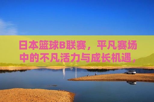 日本篮球B联赛,平凡赛场中的不凡活力与成长机遇,日本篮球B联赛,平凡赛场中的不凡活力与成长机遇