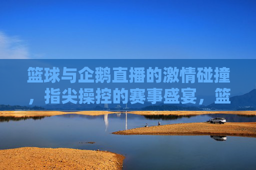 篮球与企鹅直播的激情碰撞，指尖操控的赛事盛宴，篮球与企鹅直播的激情碰撞，指尖操控的赛事盛宴