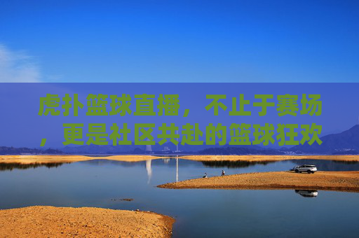 虎扑篮球直播，不止于赛场，更是社区共赴的篮球狂欢，虎扑篮球直播，不止赛场，社区共赴篮球狂欢
