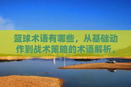 篮球术语有哪些,从基础动作到战术策略的术语解析,篮球术语详解,从基础动作到战术策略的全面解析