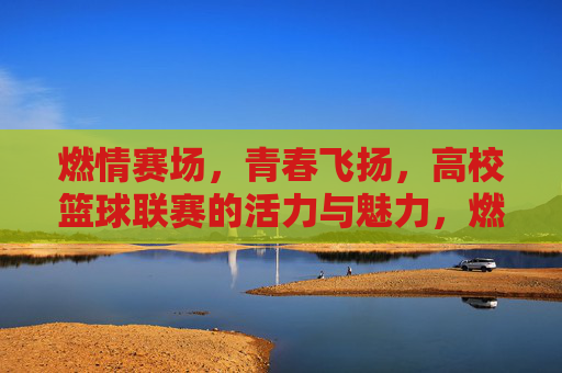 燃情赛场，青春飞扬，高校篮球联赛的活力与魅力，燃情赛场，青春飞扬，高校篮球联赛的活力与魅力
