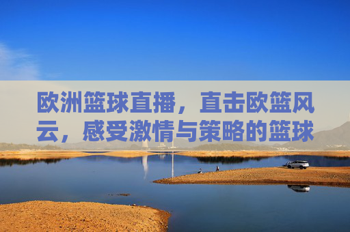 欧洲篮球直播，直击欧篮风云，感受激情与策略的篮球盛宴，欧洲篮球直播，直击欧篮风云，感受激情与策略的篮球盛宴
