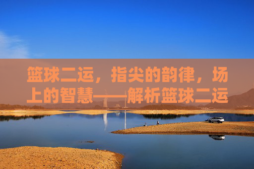 篮球二运，指尖的韵律，场上的智慧——解析篮球二运的核心技巧与实战应用，篮球二运，指尖的韵律，场上的智慧——解析篮球二运的核心技巧与实战应用