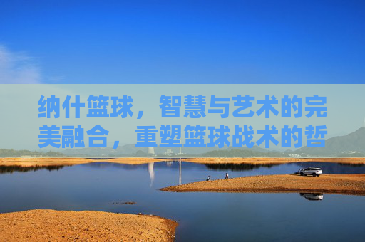 纳什篮球，智慧与艺术的完美融合，重塑篮球战术的哲学高度，纳什篮球，智慧与艺术的完美融合，重塑篮球战术的哲学高度