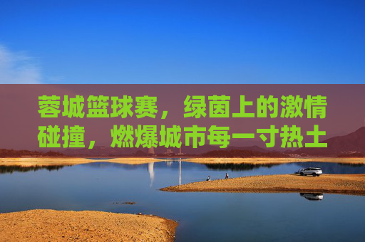 蓉城篮球赛,绿茵上的激情碰撞,燃爆城市每一寸热土
