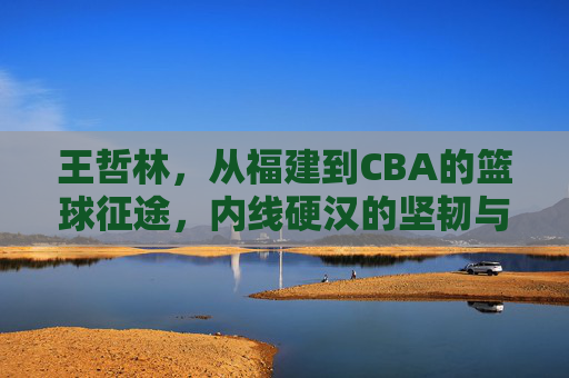 王哲林，从福建到CBA的篮球征途，内线硬汉的坚韧与突破，王哲林，从福建到CBA的征途，内线硬汉的坚韧与突破