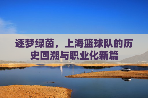 逐梦绿茵,上海篮球队的历史回溯与职业化新篇