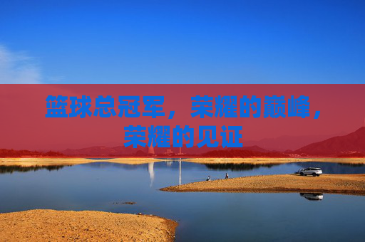 篮球总冠军，荣耀的巅峰，荣耀的见证