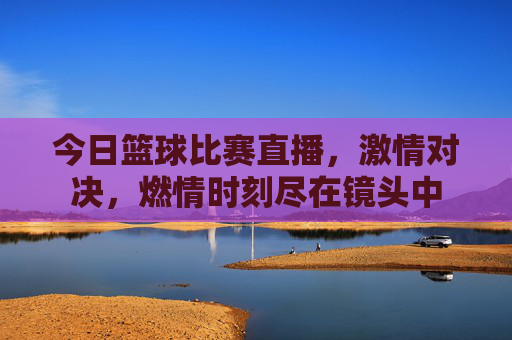 今日篮球比赛直播,激情对决,燃情时刻尽在镜头中
