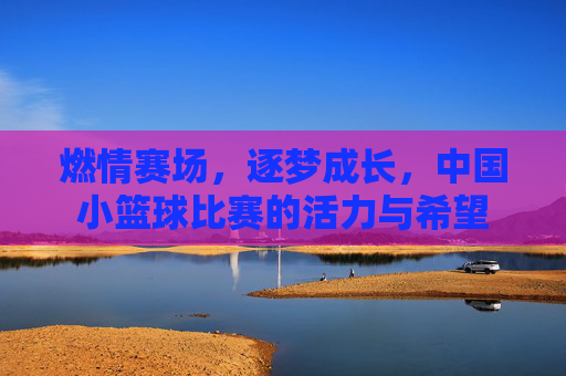 燃情赛场,逐梦成长,中国小篮球比赛的活力与希望