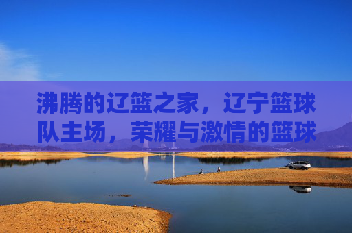 沸腾的辽篮之家，辽宁篮球队主场，荣耀与激情的篮球圣殿