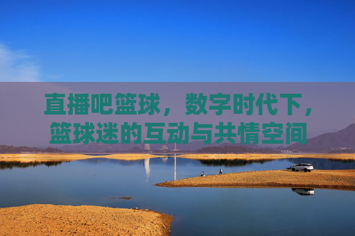 直播吧篮球，数字时代下，篮球迷的互动与共情空间