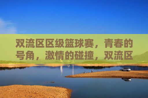 双流区区级篮球赛，青春的号角，激情的碰撞，双流区区级篮球赛，青春的号角，激情的碰撞