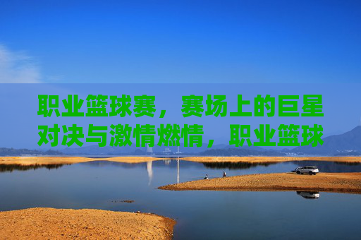 职业篮球赛，赛场上的巨星对决与激情燃情，职业篮球赛，赛场上的巨星对决与激情燃情