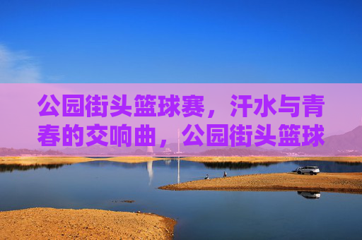 公园街头篮球赛，汗水与青春的交响曲，公园街头篮球赛，汗水与青春的交响曲