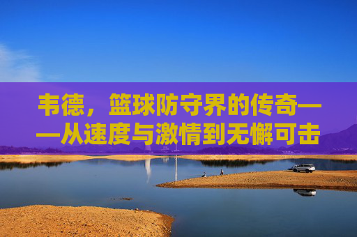 韦德，篮球防守界的传奇——从速度与激情到无懈可击的防守体系，韦德，篮球防守界的传奇——从速度与激情到无懈可击的防守体系