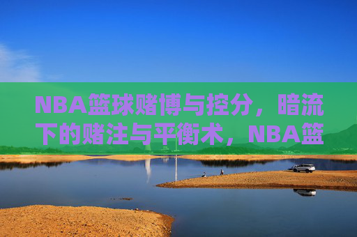 NBA篮球赌博与控分,暗流下的赌注与平衡术,NBA篮球赌博与控分,暗流下的赌注与平衡术