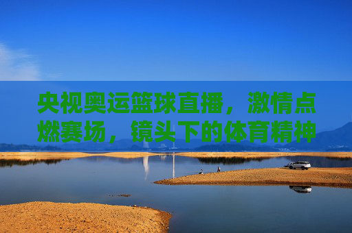央视奥运篮球直播,激情点燃赛场,镜头下的体育精神与家国情怀
