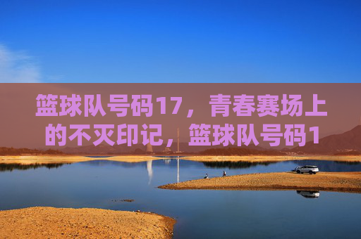 篮球队号码17，青春赛场上的不灭印记，篮球队号码17，青春赛场上的不灭印记