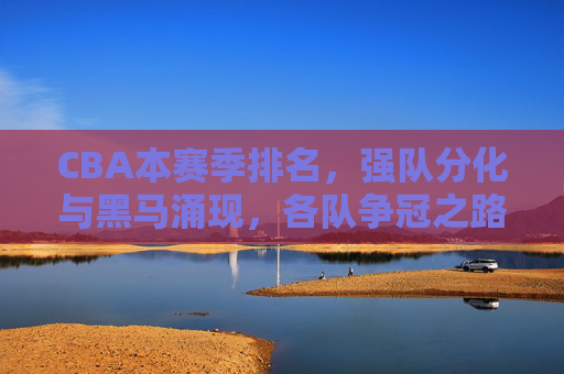 CBA本赛季排名,强队分化与黑马涌现,各队争冠之路暗流涌动,CBA本赛季排名,强队分化与黑马涌现,各队争冠之路暗流涌动