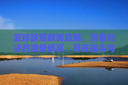 篮球欧冠联赛直播,顶级对决的激情盛宴,尽在指尖与眼前,篮球欧冠联赛直播,顶级对决的激情盛宴,尽在指尖与眼前