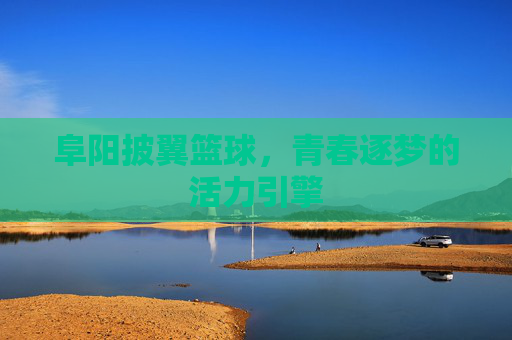 阜阳披翼篮球，青春逐梦的活力引擎
