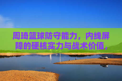 周琦篮球防守能力,内线屏障的硬核实力与战术价值,周琦内线防守,硬核屏障的实力与战术价值