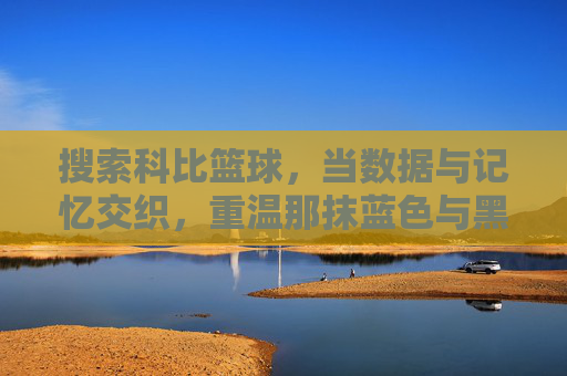 搜索科比篮球,当数据与记忆交织,重温那抹蓝色与黑色交织的传奇