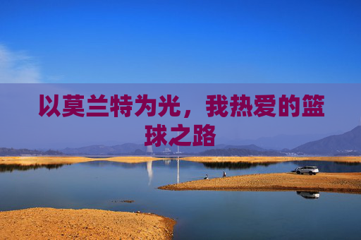 以莫兰特为光，我热爱的篮球之路