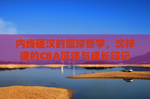 内线硬汉的篮球哲学,沈梓捷的CBA征途与成长印记