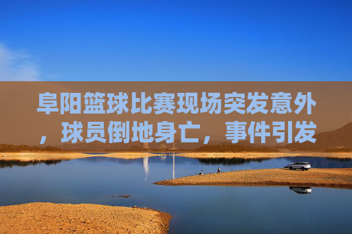 阜阳篮球比赛现场突发意外，球员倒地身亡，事件引发社会关注与安全反思，阜阳篮球比赛现场球员倒地身亡，事件引发社会关注与安全反思