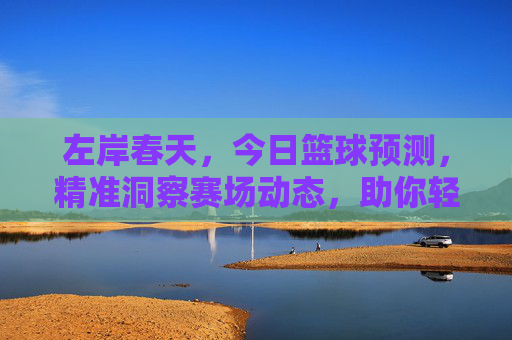 左岸春天,今日篮球预测,精准洞察赛场动态,助你轻松赢取比赛