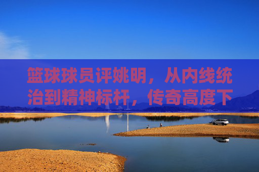 篮球球员评姚明，从内线统治到精神标杆，传奇高度下的谦逊光芒，篮球球员评姚明，从内线统治到精神标杆，传奇高度下的谦逊光芒