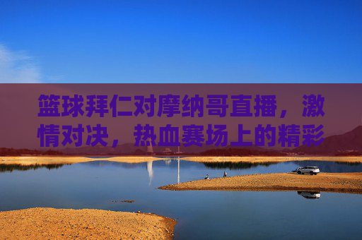 篮球拜仁对摩纳哥直播，激情对决，热血赛场上的精彩博弈，篮球拜仁vs摩纳哥直播，激情对决，热血赛场上的精彩博弈