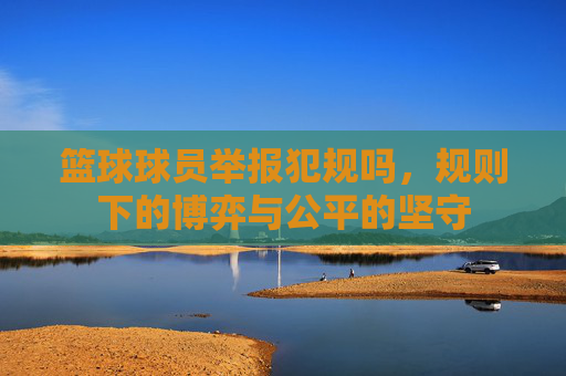 篮球球员举报犯规吗，规则下的博弈与公平的坚守