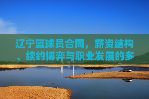 辽宁篮球员合同，薪资结构、续约博弈与职业发展的多维解析，辽宁篮球员合同，薪资结构、续约博弈与职业发展的多维解析