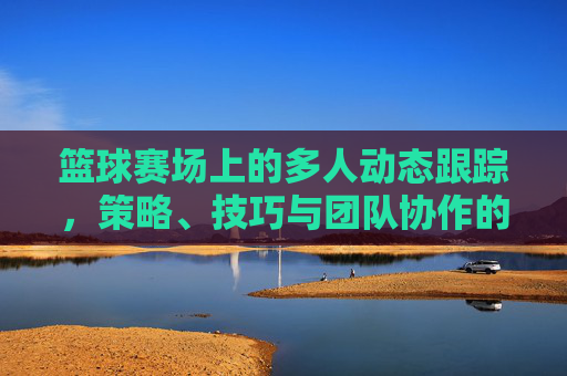 篮球赛场上的多人动态跟踪，策略、技巧与团队协作的交响，篮球赛场上的多人动态跟踪，策略、技巧与团队协作的交响