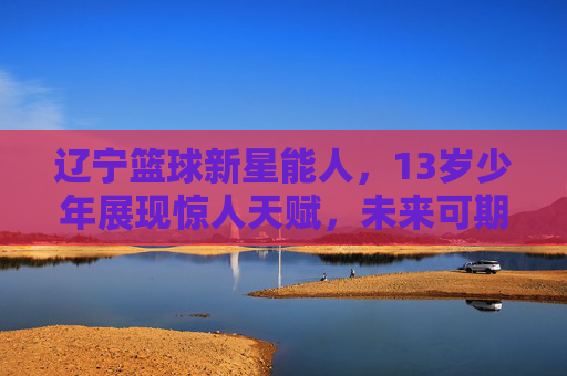 辽宁篮球新星能人,13岁少年展现惊人天赋,未来可期,辽宁13岁篮球新星能人,天赋惊人,未来可期