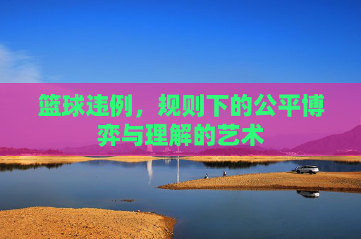 篮球违例,规则下的公平博弈与理解的艺术