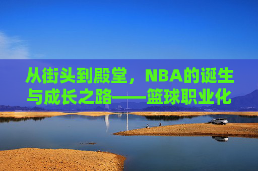 从街头到殿堂，NBA的诞生与成长之路——篮球职业化与联盟的形成，从街头到殿堂，NBA的诞生与成长之路——篮球职业化与联盟的形成