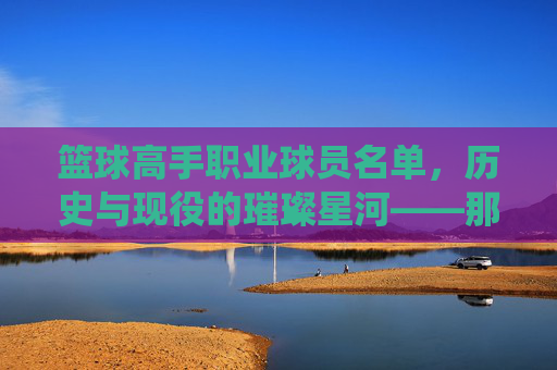 篮球高手职业球员名单，历史与现役的璀璨星河——那些定义时代的传奇与现役巨星，篮球高手职业球员名单，历史与现役的璀璨星河——那些定义时代的传奇与现役巨星