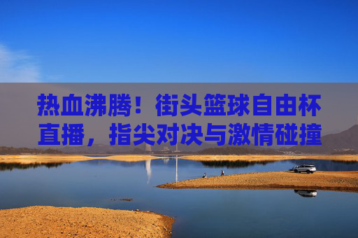 热血沸腾！街头篮球自由杯直播，指尖对决与激情碰撞的视觉盛宴，热血沸腾！街头篮球自由杯直播，指尖对决与激情碰撞的视觉盛宴